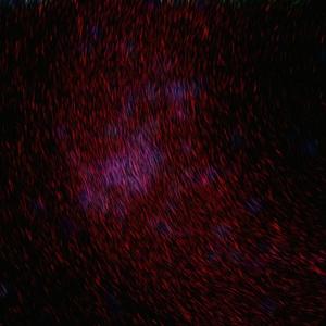 蜜臀AV色欲A片无码一区
